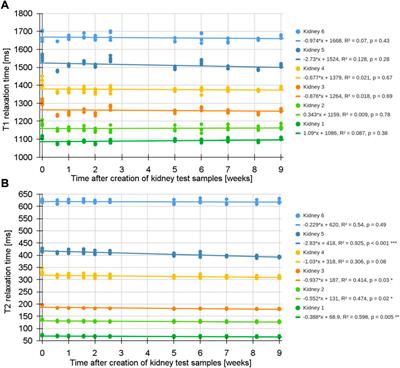 Reproducible phantom for quality assurance in abdominal MRI focussing kidney imaging